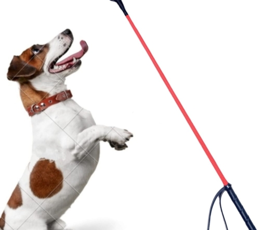 WhatsApp Image 2025-03-08 at 4.08.13 PM