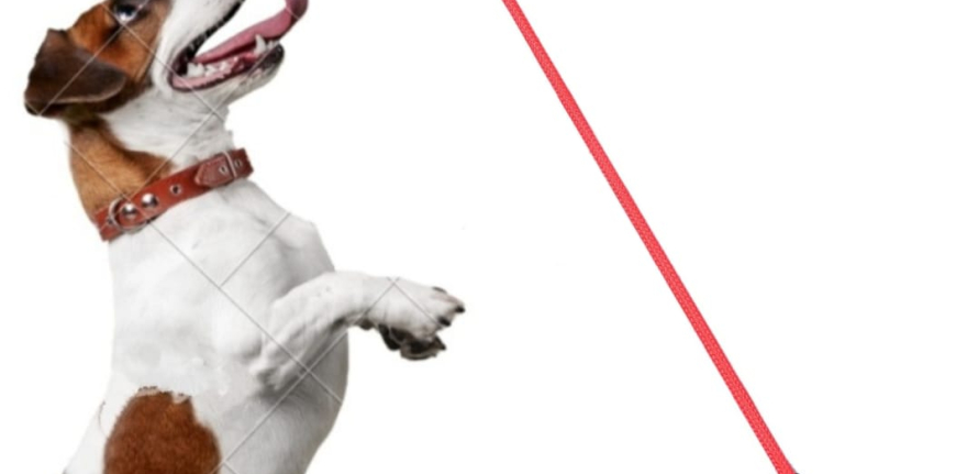 WhatsApp Image 2025-03-08 at 4.08.13 PM