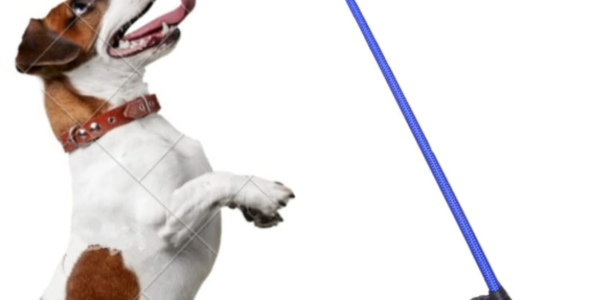 WhatsApp Image 2025-03-08 at 7.30.31 PM