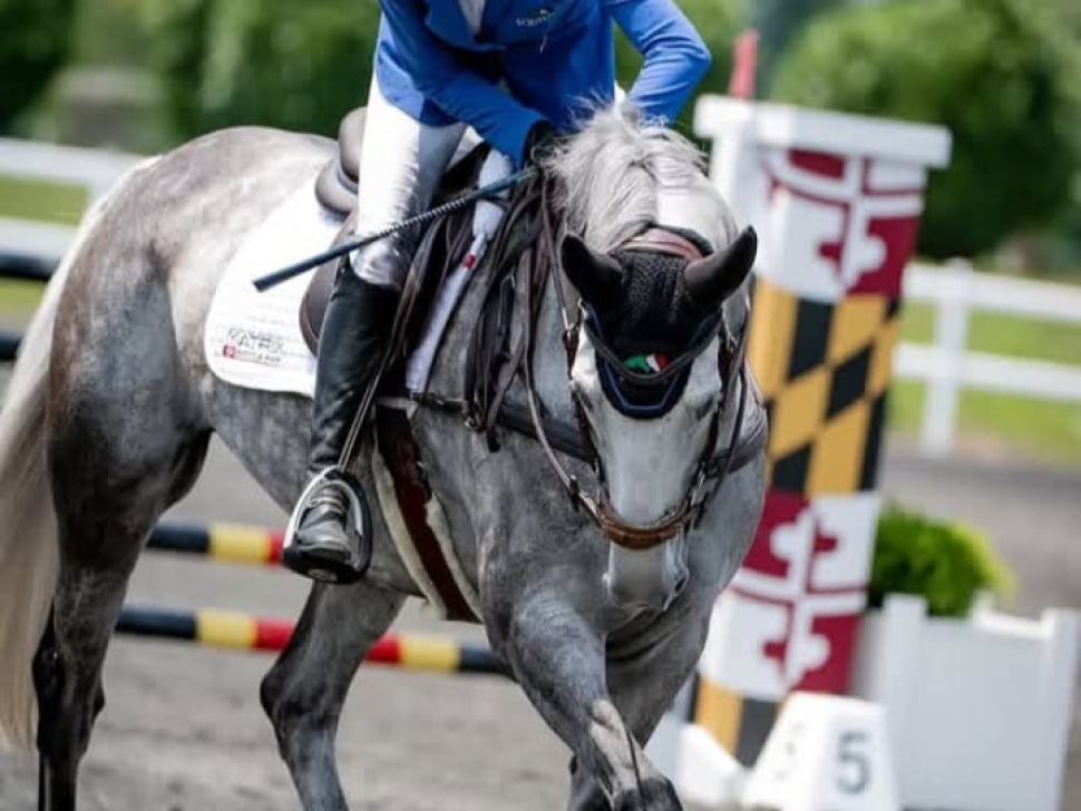 WhatsApp Image 2025-03-08 at 9.22.38 PM