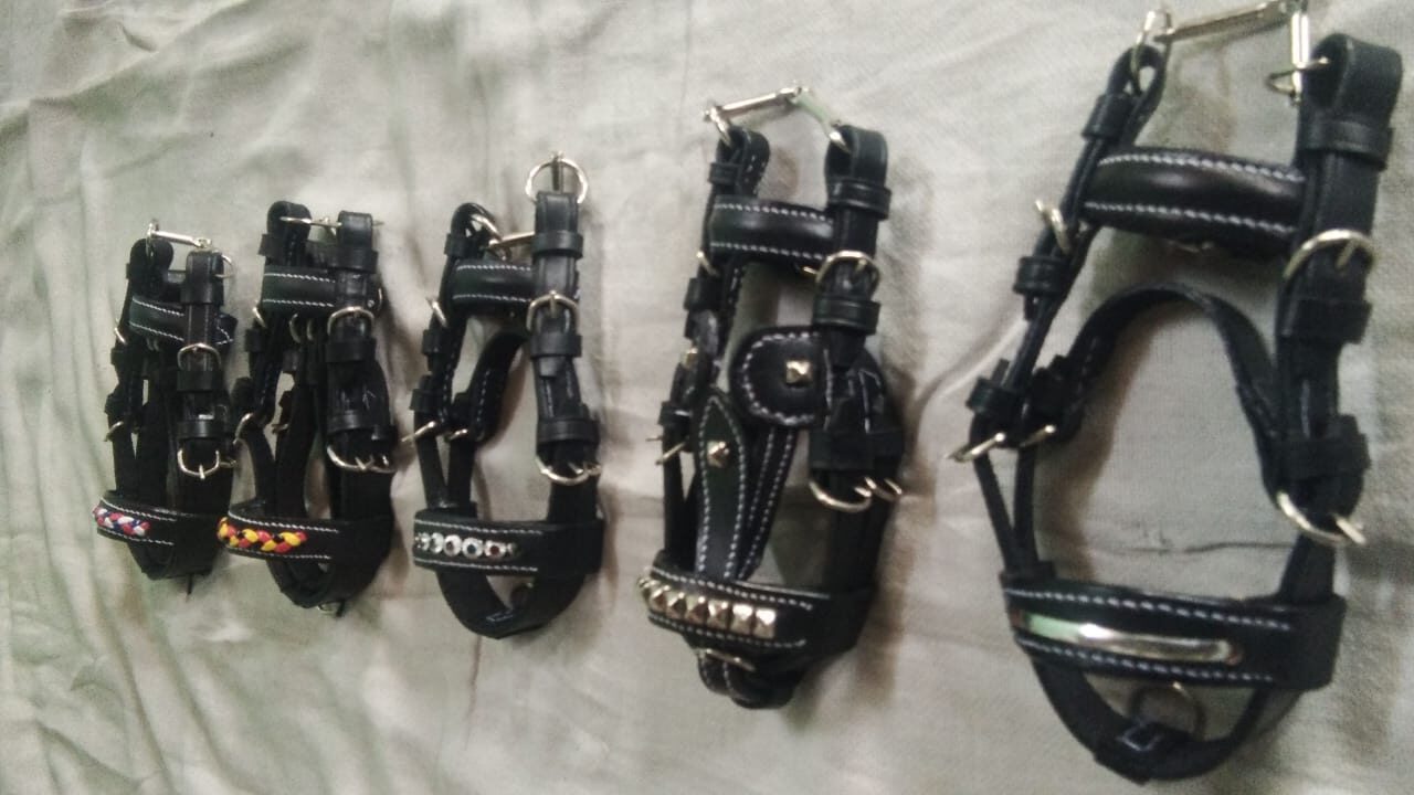 WhatsApp Image 2025-03-13 at 1.59.49 AM