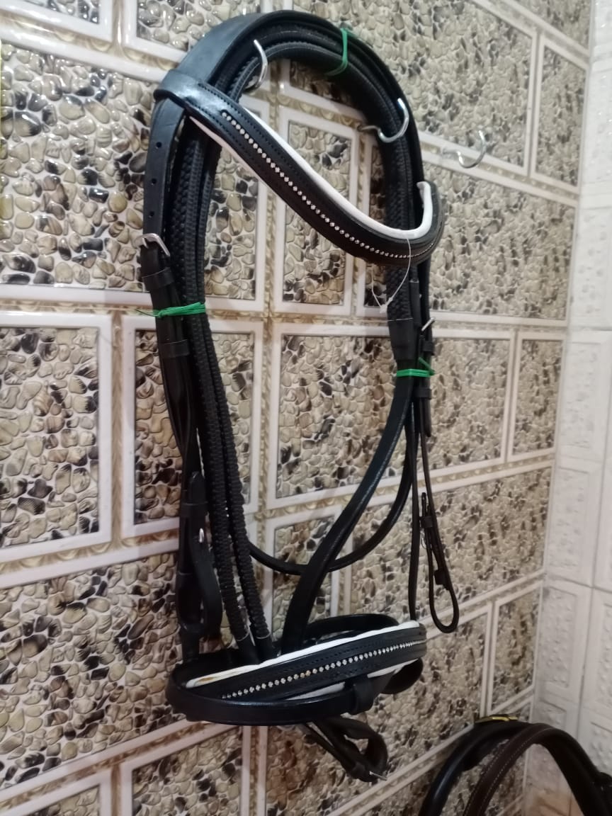 WhatsApp Image 2025-03-13 at 2.54.11 AM